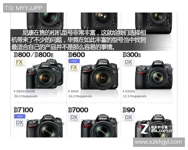 足球星卡每盒价格揭秘如何影响玩家收藏热潮和市场趋势 足球星卡每盒价格揭秘如何影响玩家收藏热潮和市场趋势