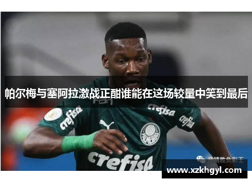帕尔梅与塞阿拉激战正酣谁能在这场较量中笑到最后