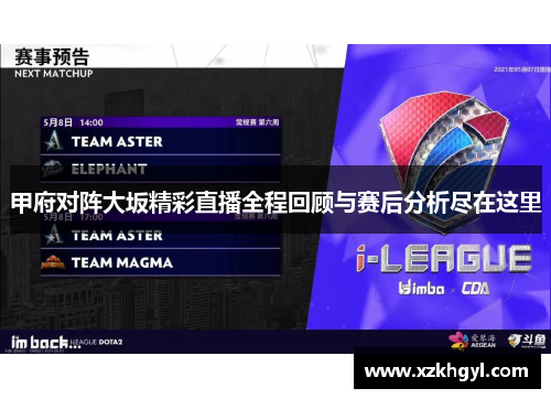甲府对阵大坂精彩直播全程回顾与赛后分析尽在这里
