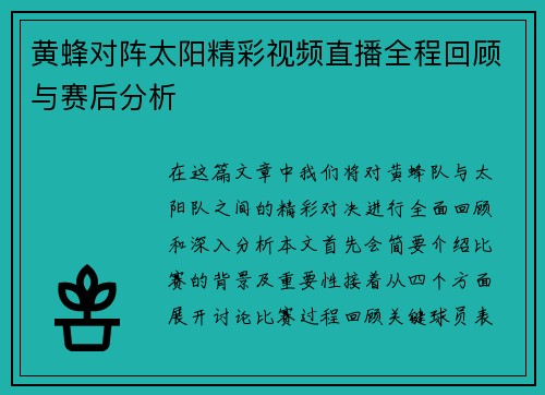 黄蜂对阵太阳精彩视频直播全程回顾与赛后分析